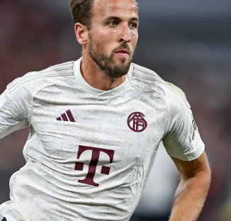 遍依赖于大 遍依赖于大