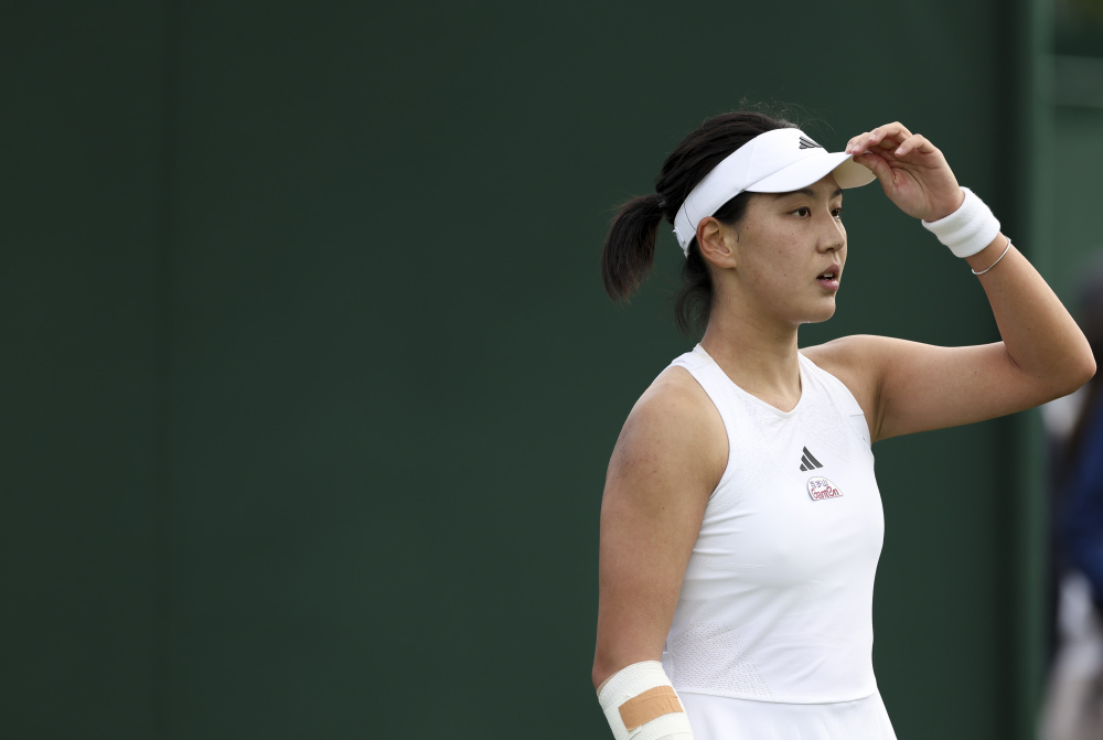 其卓越的技 其卓越的技